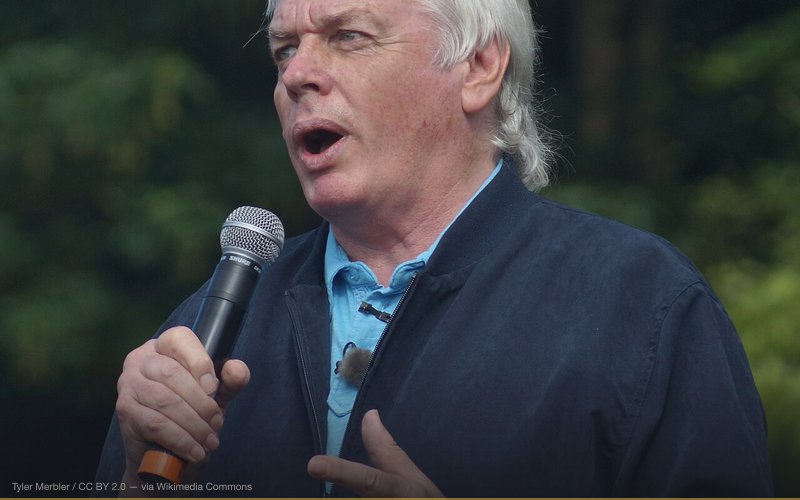 Дэвид Айк в 2013 году — related to 5G Health & Control Conspiracy