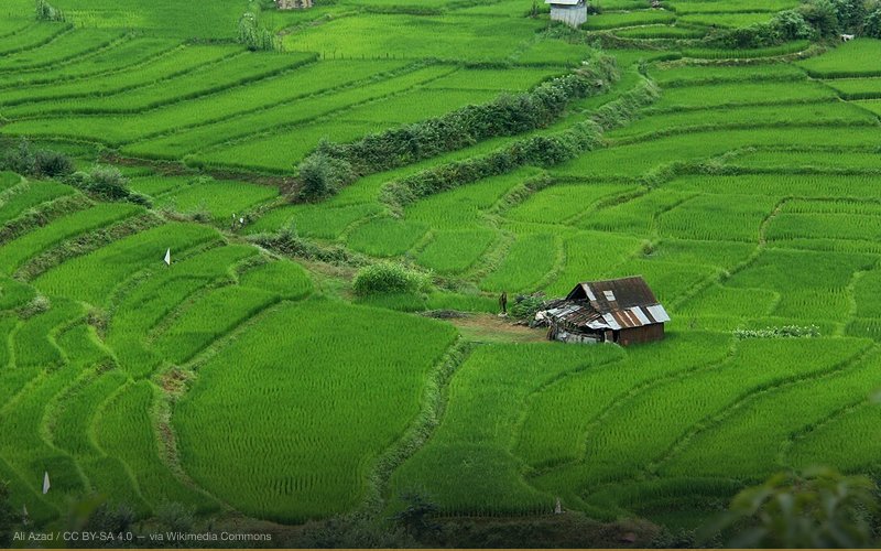 بندپی — related to Iran-Contra Affair — Arms, Drugs & Cover-Up